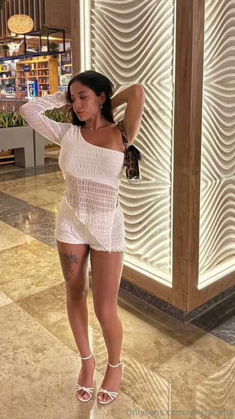 Official Mia model art img