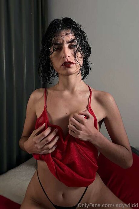 Ladywildd perfect star image