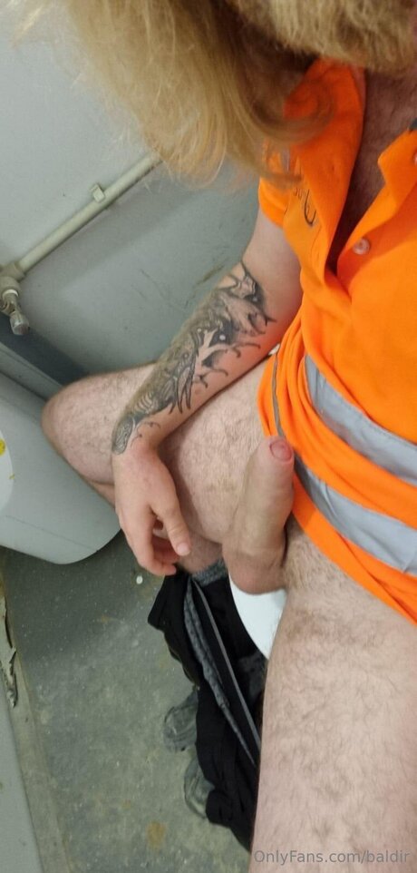 Baldir hot actress picture