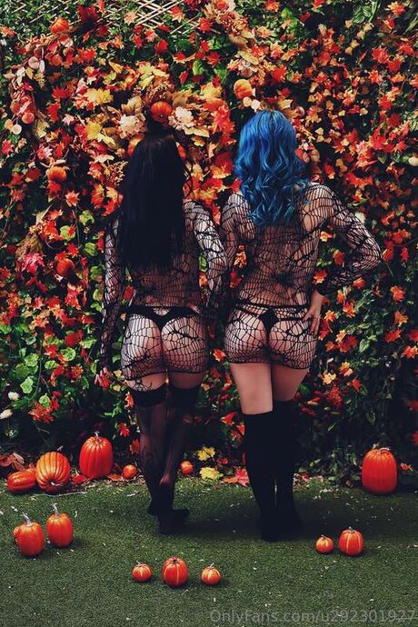 U292301927 perfect star pics