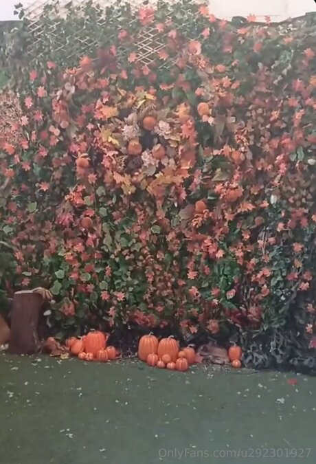 U292301927 exclusive star picture