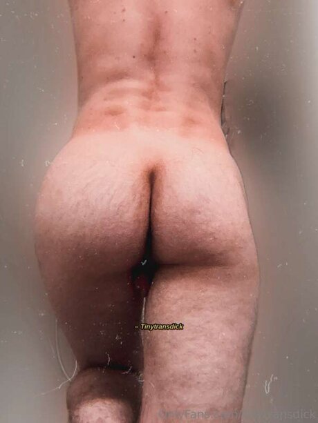 Tinytransdick adult actress picture