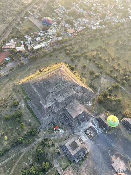 Darli art model pictures