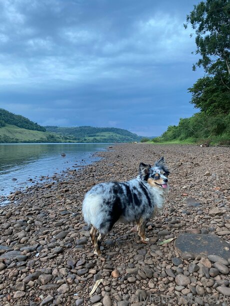 Darli pornstar best gallery