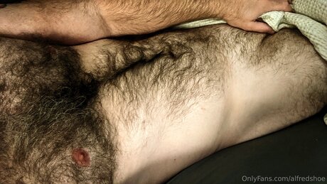 Alfredshoe model perfect galleries