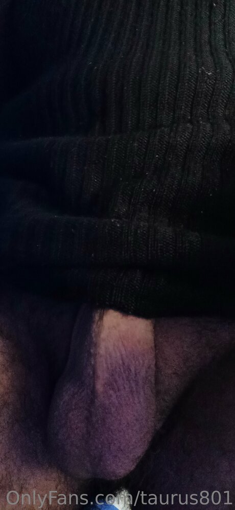 Taurus801 model best archive