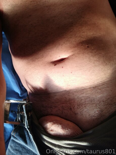 Taurus801 model free photos