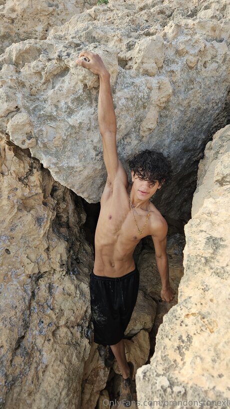 Brandonstonexl star nude archive