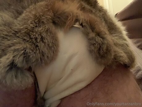 Yourtarzanbro pornstar beautiful picture