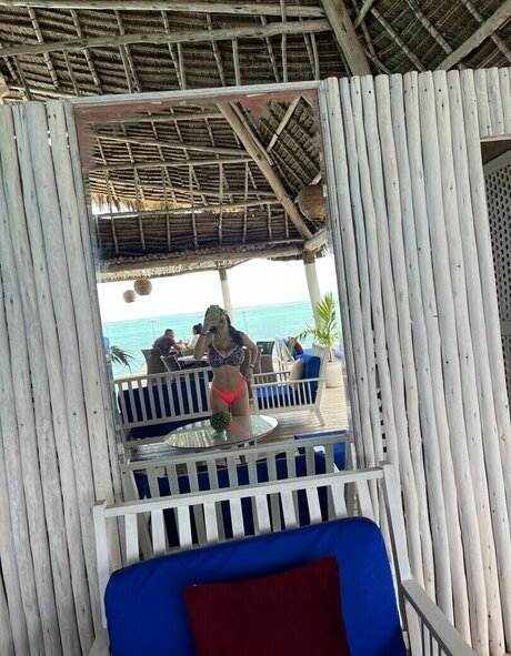 Pelegsaar perfect star img