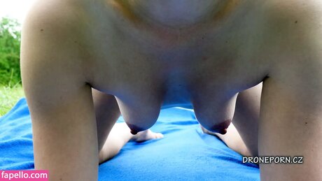 Da an Cat star art pics