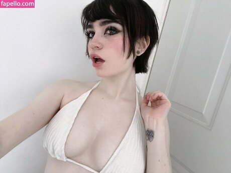 elinoiiddx high quality star archive