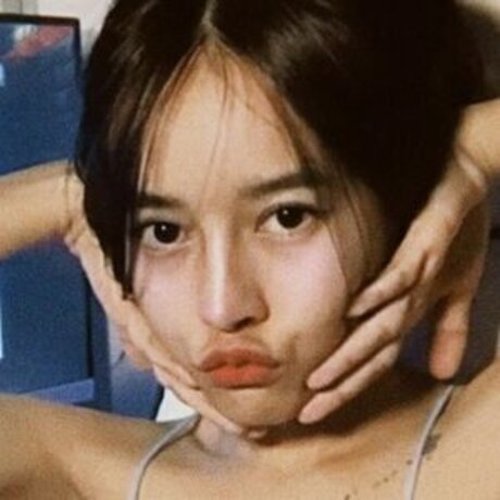 caxeks star free images