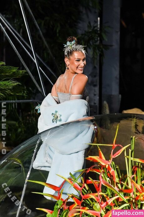 Bella Hadid star hd photo