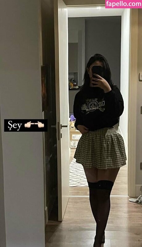 Su Balc_ model beautiful galleries