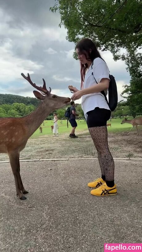 HeyMissTeacher top pornstar img