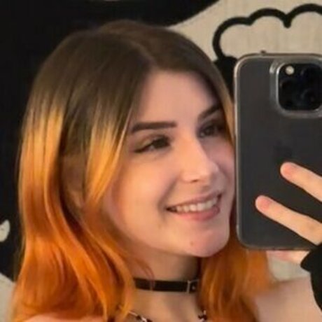 Zasterini model top image