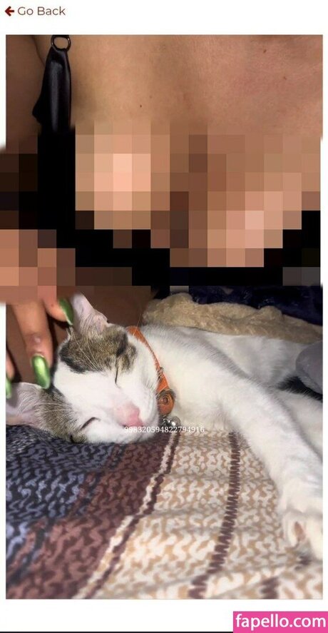 Debochan top star photo