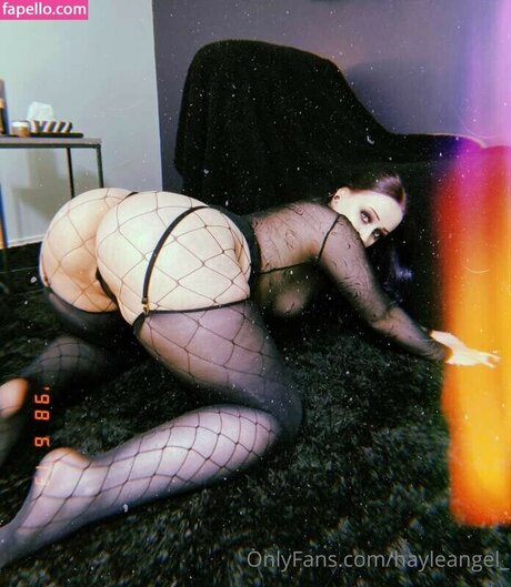 ASSZILLA model galleries