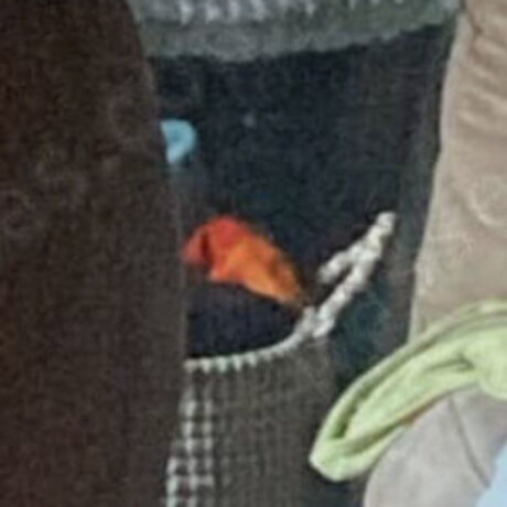 Brooke Barron best actress images