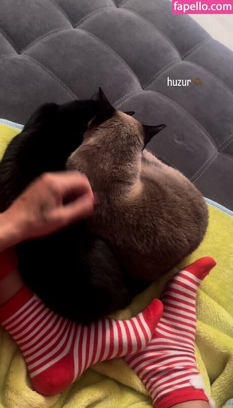 pinars0ylu model pornographic images