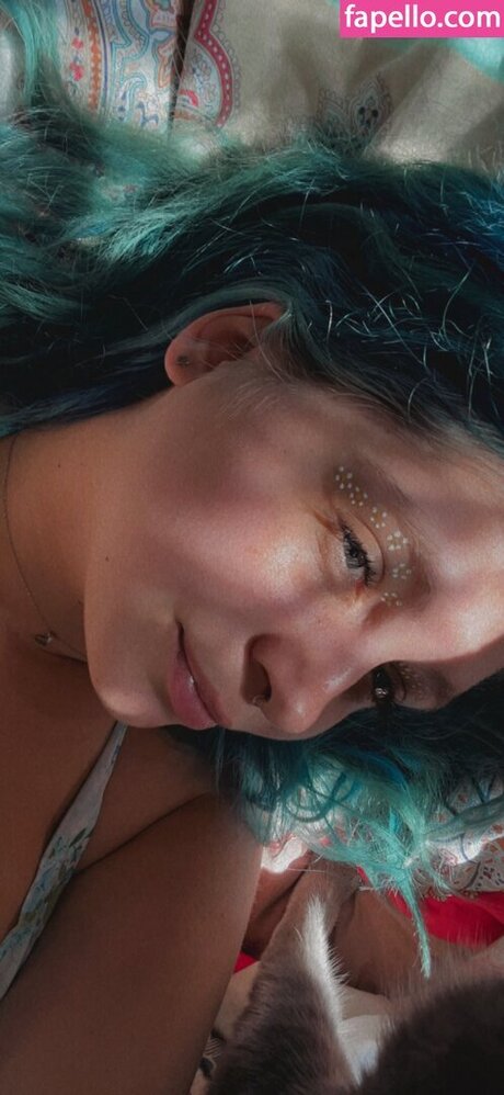 too0ldcat beautiful star photo