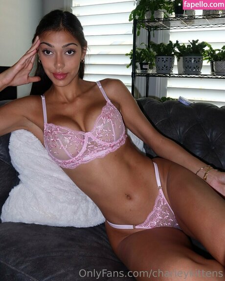 Chelstres pretty star gallery