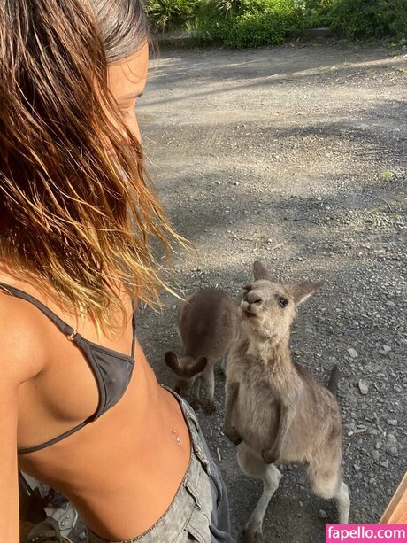 Req Cassadventures pornstar erotic archive