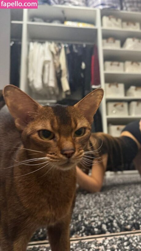 influesii753 pretty star picture