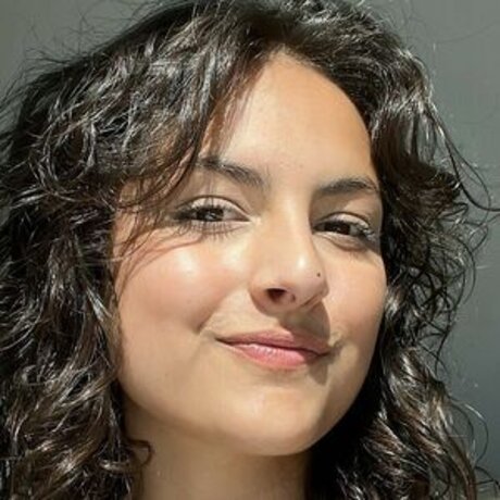 Fei LE Gal adult star archive