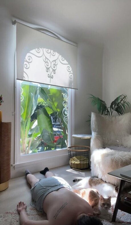 Sarah Schauer star hd image