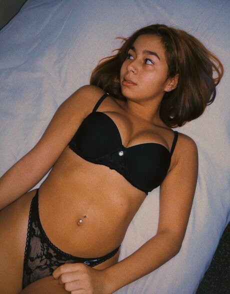 Agostorrent star top img