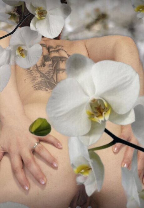 Dot Addams model art picture