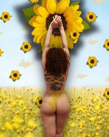 Dot Addams best star pictures