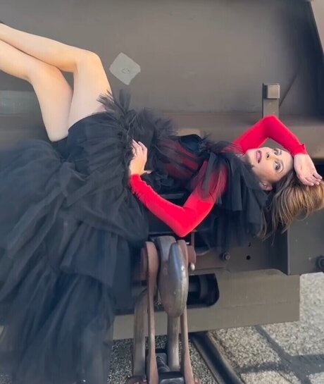 Funda Vanroy model perfect galleries