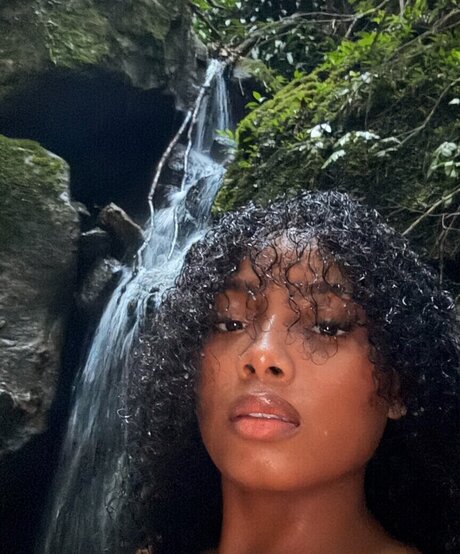 kortynie high quality star img