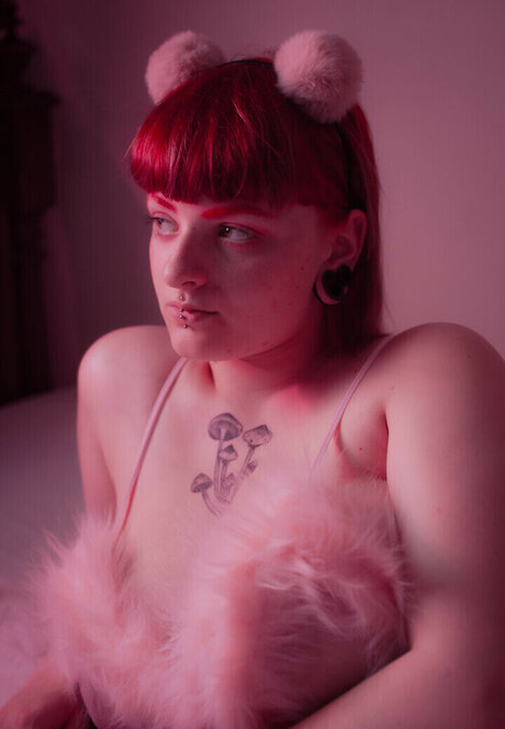 _Mym A radia nice model gallery