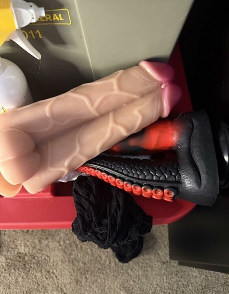 Heidi Cummin star hd image