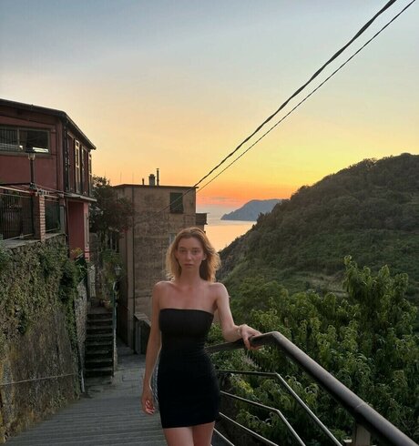 Nursevirg star art images