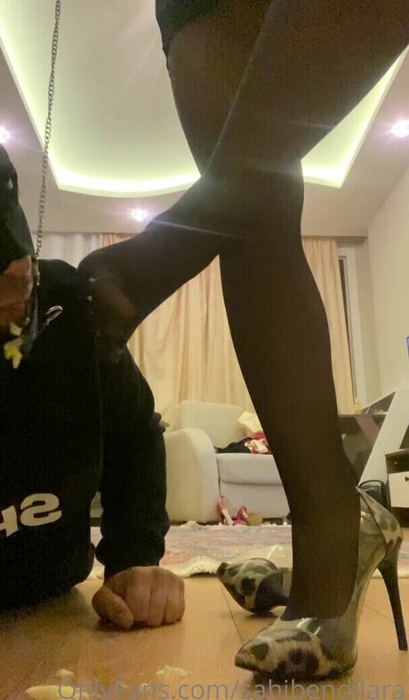 sahibendilara star high quality gallery