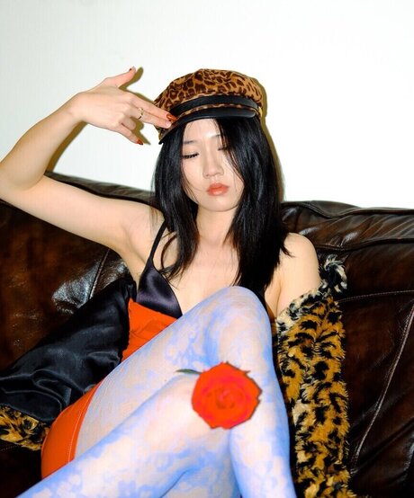 Lo3tus model top images