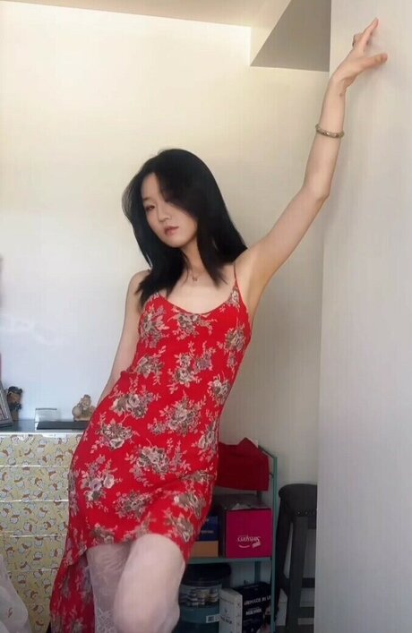 Lo3tus star nice gallery