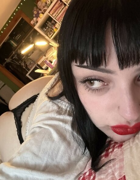 xBeaux star pretty gallery