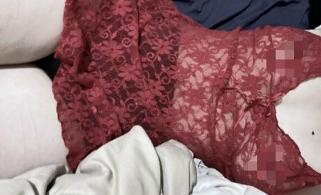 cy aannn star pornographic image