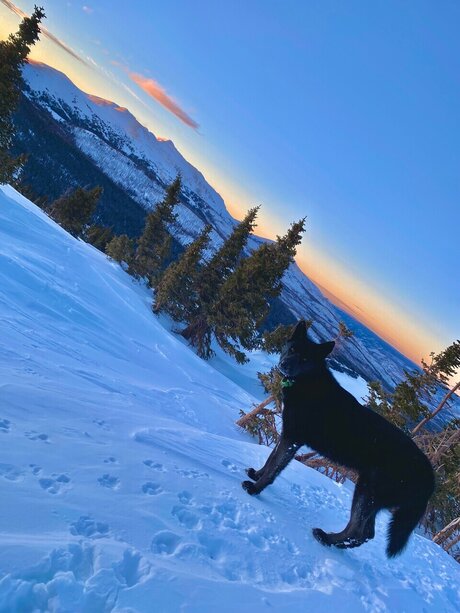 Thomas D exclusive star image