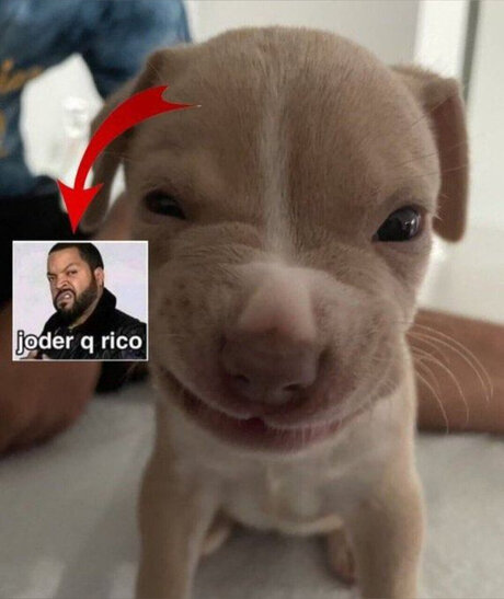 anal masturbation onlyfans perfect pictures