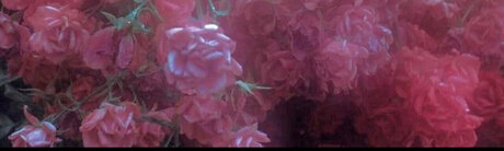 THE HOTTEST PAWG_ pornstar art photo