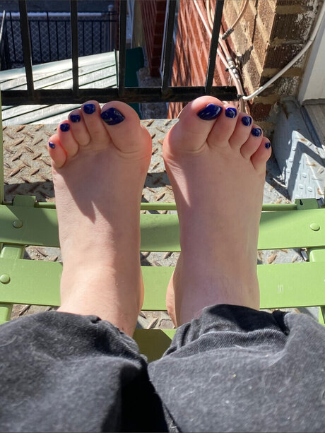 East Bunny exclusive star img