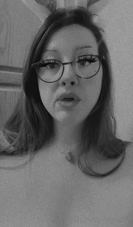 bunny velvet star beautiful img