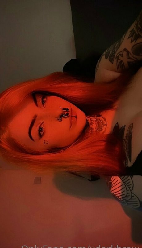 DarkBrew adult star gallery